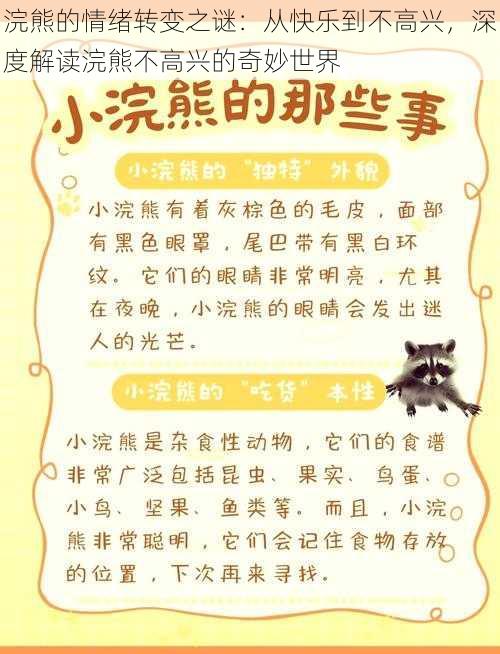 浣熊的情绪转变之谜：从快乐到不高兴，深度解读浣熊不高兴的奇妙世界