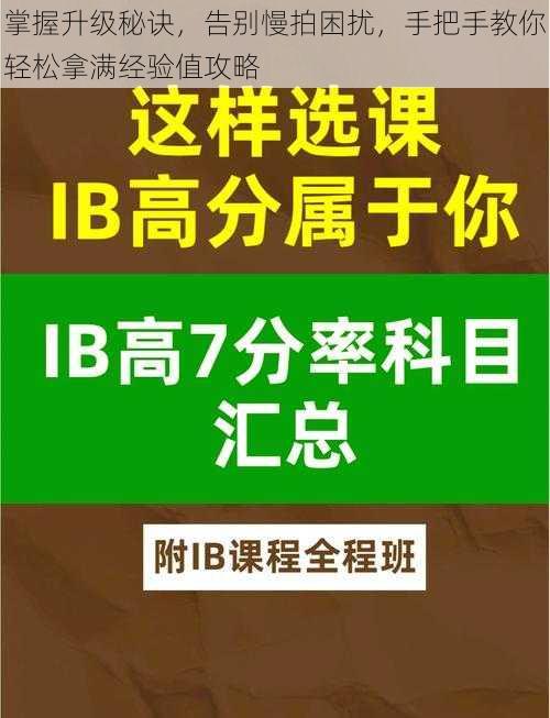 掌握升级秘诀，告别慢拍困扰，手把手教你轻松拿满经验值攻略