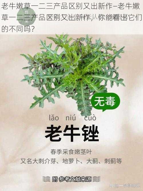 老牛嫩草一二三产品区别又出新作—老牛嫩草一二三产品区别又出新作，你能看出它们的不同吗？