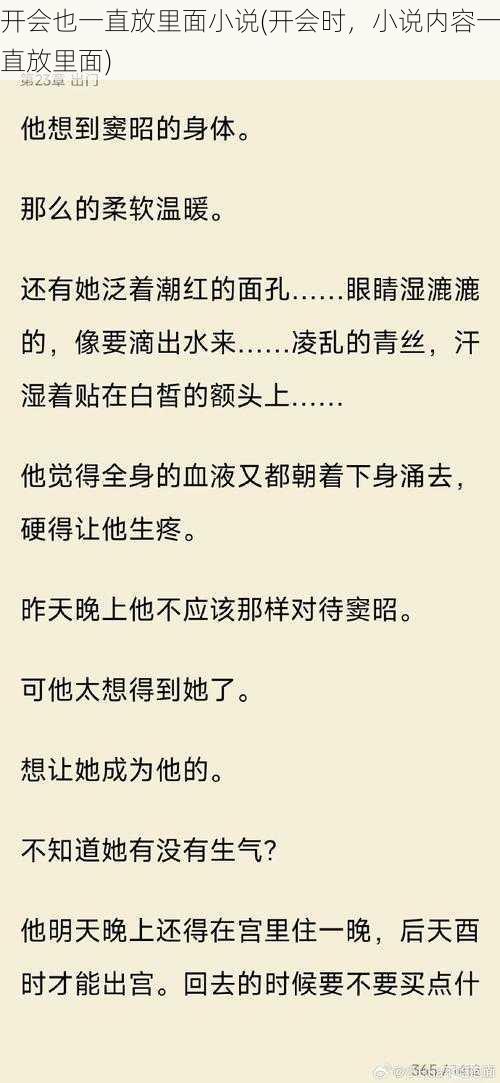 开会也一直放里面小说(开会时，小说内容一直放里面)