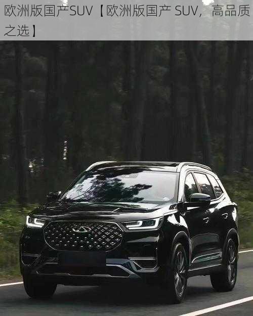 欧洲版国产SUV【欧洲版国产 SUV，高品质之选】