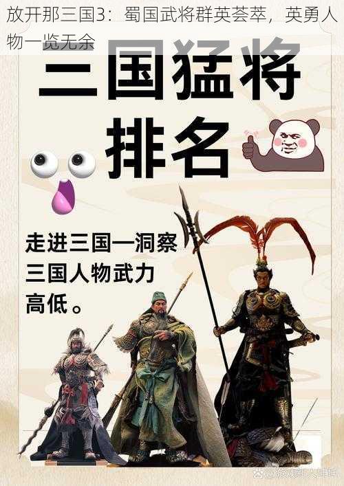 放开那三国3：蜀国武将群英荟萃，英勇人物一览无余