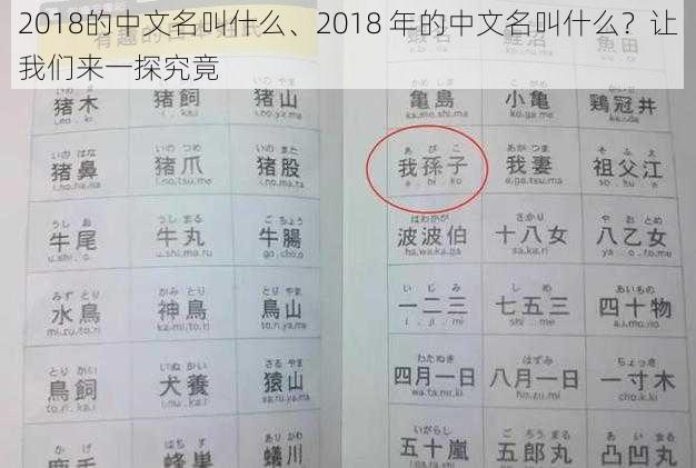 2018的中文名叫什么、2018 年的中文名叫什么？让我们来一探究竟