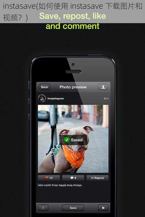 instasave(如何使用 instasave 下载图片和视频？)