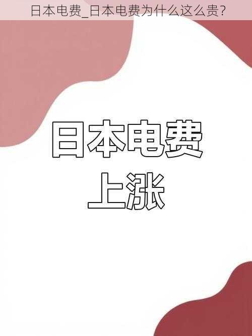 日本电费_日本电费为什么这么贵？