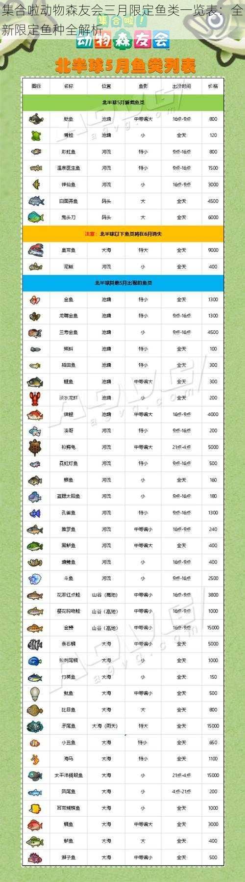 集合啦动物森友会三月限定鱼类一览表：全新限定鱼种全解析