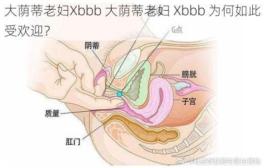 大荫蒂老妇Xbbb 大荫蒂老妇 Xbbb 为何如此受欢迎？