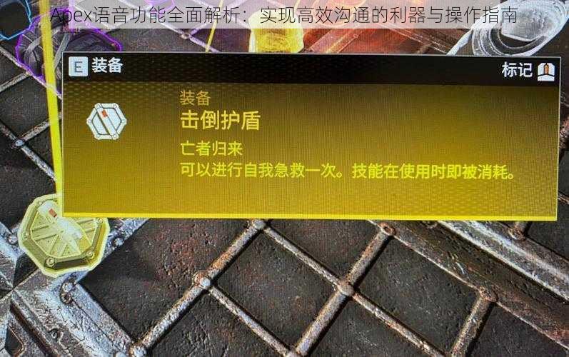 Apex语音功能全面解析：实现高效沟通的利器与操作指南