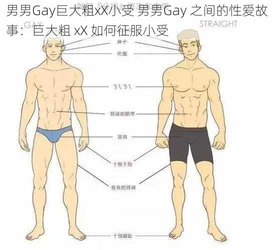 男男Gay巨大粗xX小受 男男Gay 之间的性爱故事：巨大粗 xX 如何征服小受