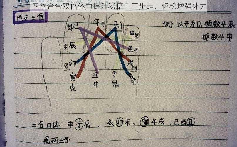 四季合合双倍体力提升秘籍：三步走，轻松增强体力