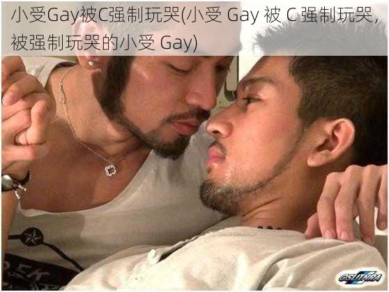 小受Gay被C强制玩哭(小受 Gay 被 C 强制玩哭，被强制玩哭的小受 Gay)