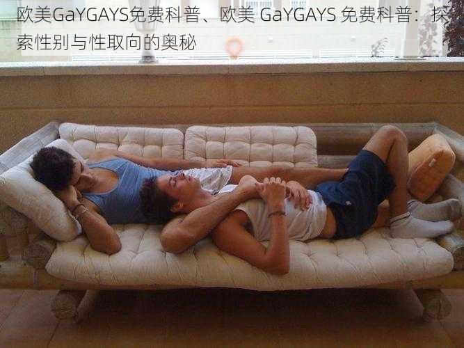 欧美GaYGAYS免费科普、欧美 GaYGAYS 免费科普：探索性别与性取向的奥秘