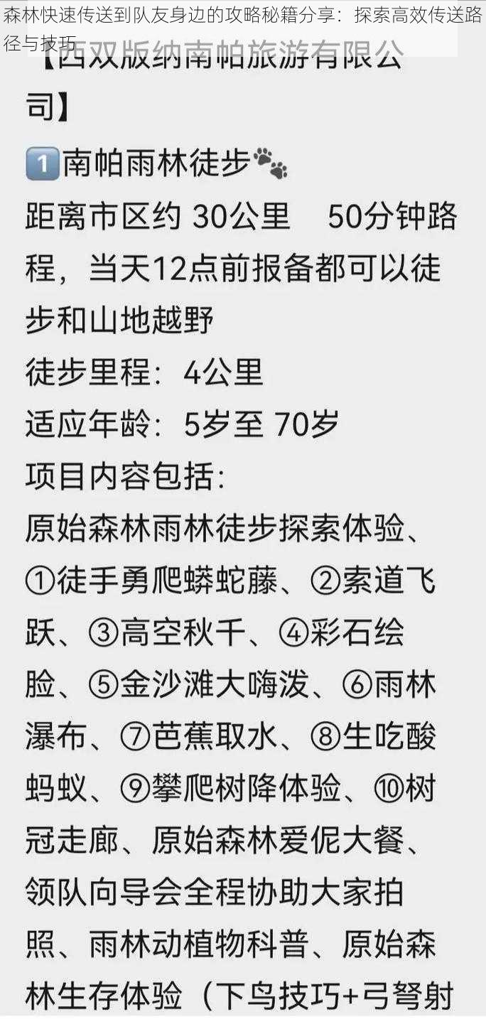 森林快速传送到队友身边的攻略秘籍分享：探索高效传送路径与技巧