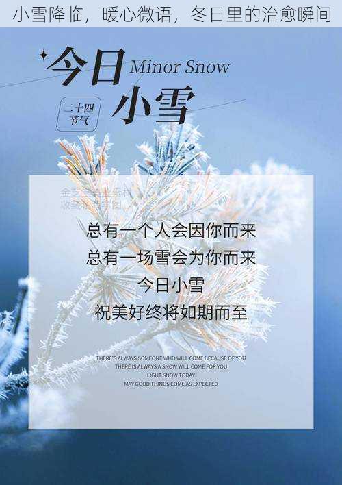 小雪降临，暖心微语，冬日里的治愈瞬间