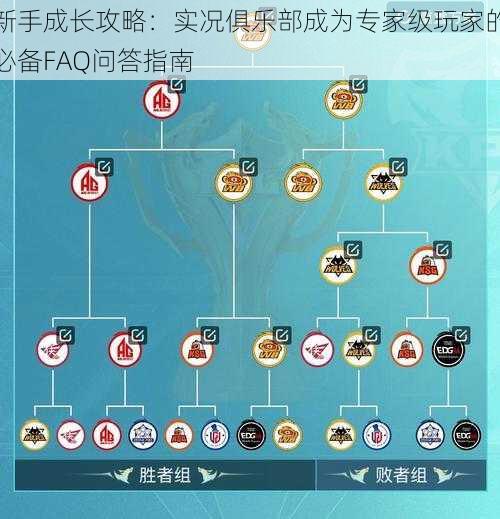 新手成长攻略：实况俱乐部成为专家级玩家的必备FAQ问答指南