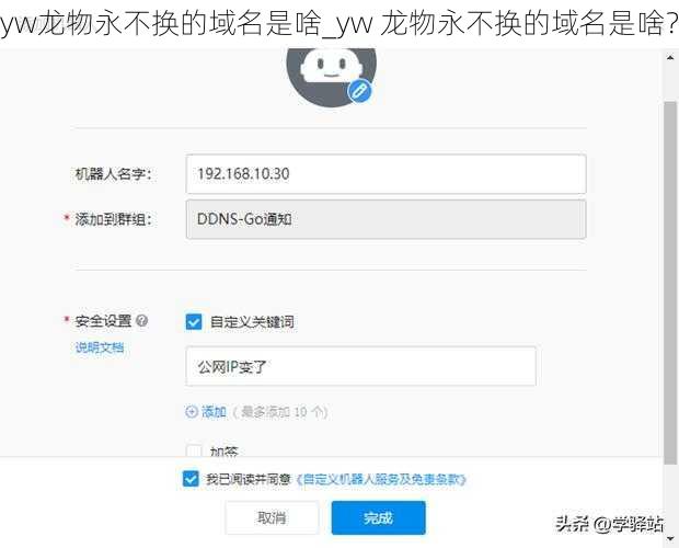 yw龙物永不换的域名是啥_yw 龙物永不换的域名是啥？