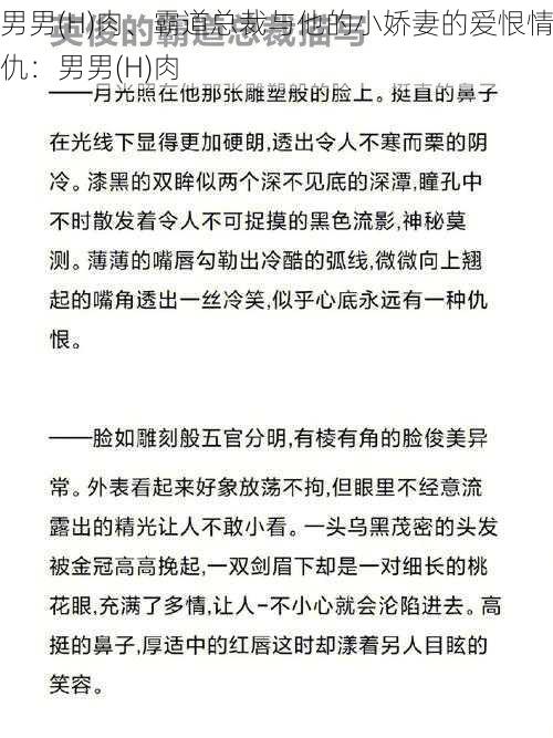 男男(H)肉、霸道总裁与他的小娇妻的爱恨情仇：男男(H)肉