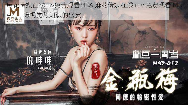 麻花传媒在线mv免费观看MBA,麻花传媒在线 mv 免费观看 MBA：一场视觉与知识的盛宴