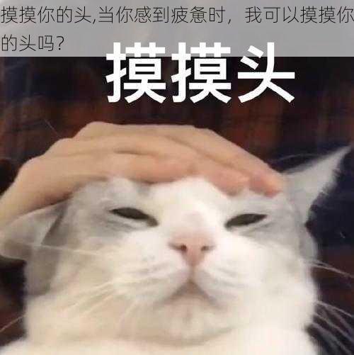 摸摸你的头,当你感到疲惫时，我可以摸摸你的头吗？