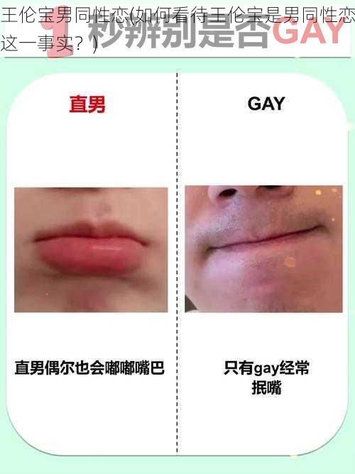 王伦宝男同性恋(如何看待王伦宝是男同性恋这一事实？)