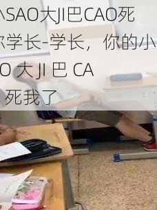 小SAO大JI巴CAO死你学长-学长，你的小 SAO 大 JI 巴 CAO 死我了