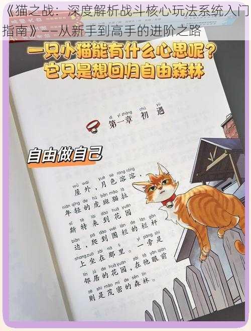 《猫之战：深度解析战斗核心玩法系统入门指南》——从新手到高手的进阶之路