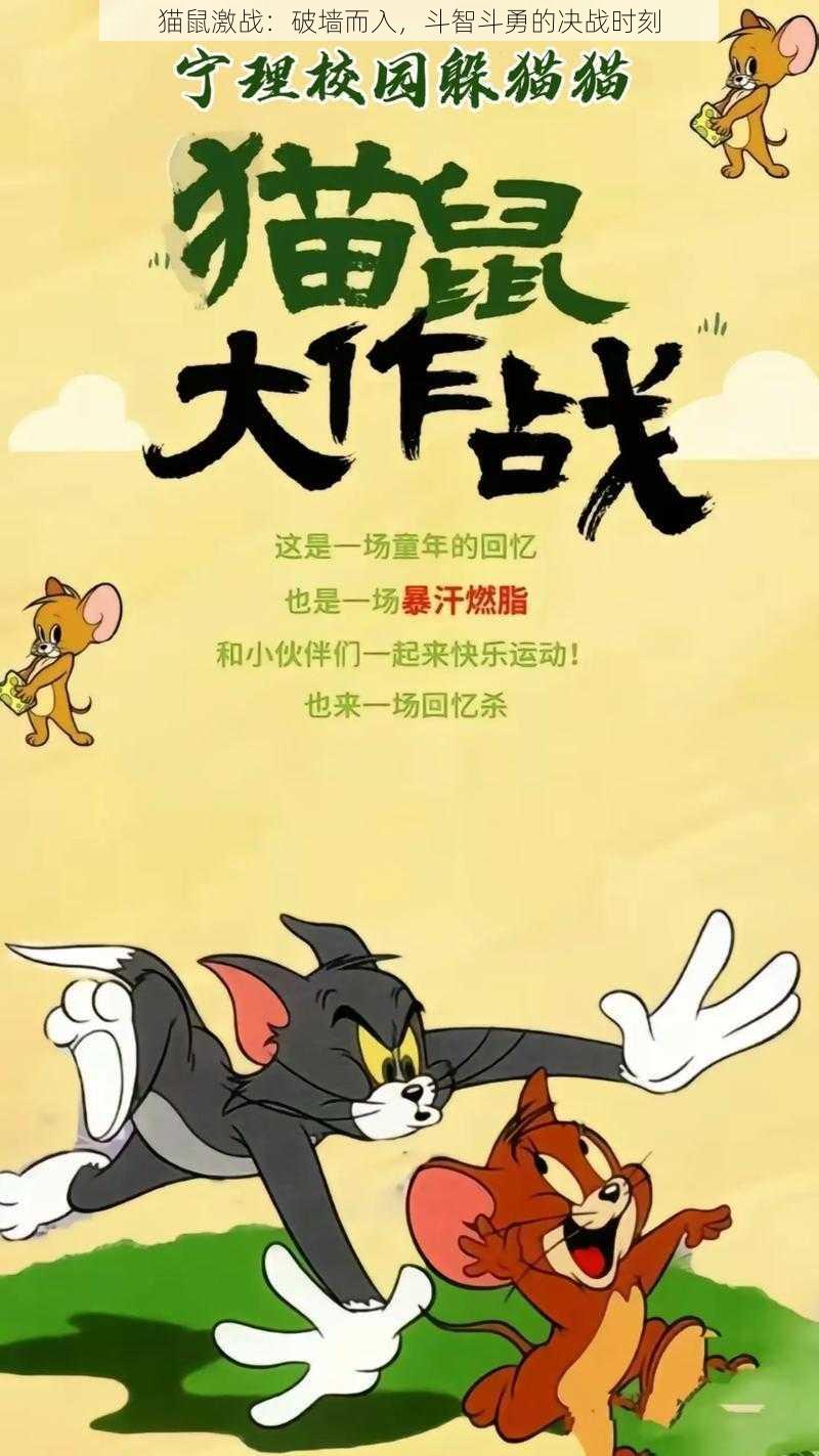 猫鼠激战：破墙而入，斗智斗勇的决战时刻