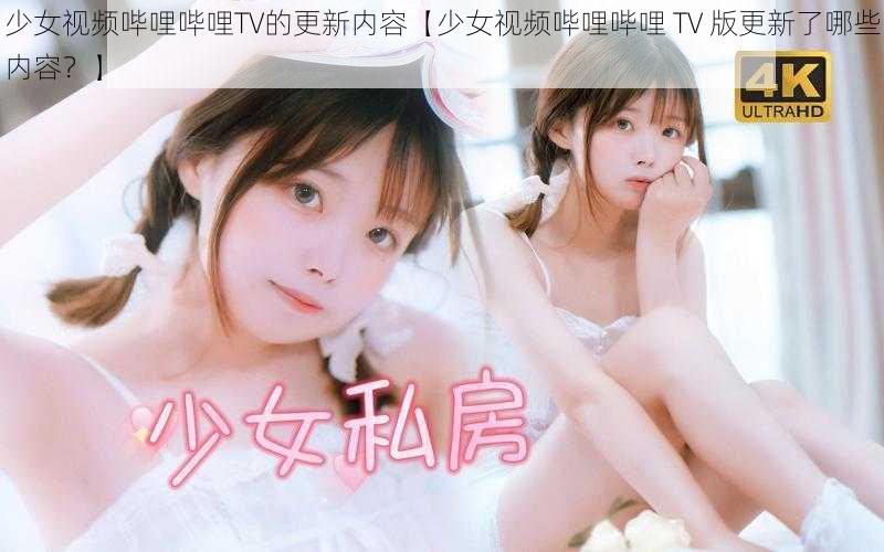 少女视频哔哩哔哩TV的更新内容【少女视频哔哩哔哩 TV 版更新了哪些内容？】