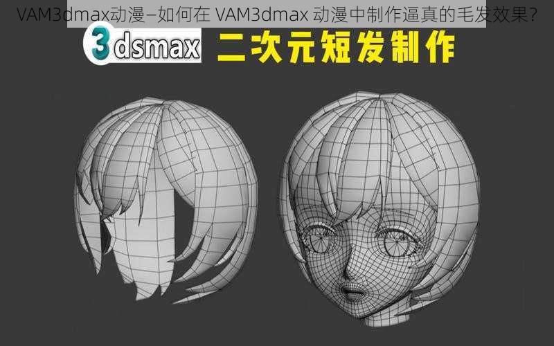 VAM3dmax动漫—如何在 VAM3dmax 动漫中制作逼真的毛发效果？