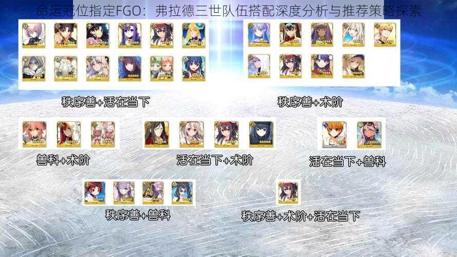 命运冠位指定FGO：弗拉德三世队伍搭配深度分析与推荐策略探索