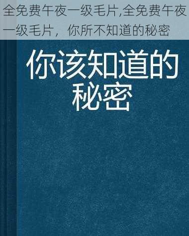 全免费午夜一级毛片,全免费午夜一级毛片，你所不知道的秘密