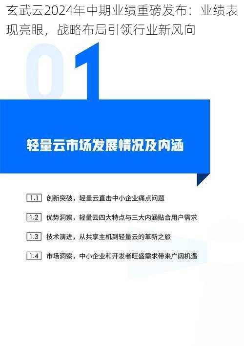 玄武云2024年中期业绩重磅发布：业绩表现亮眼，战略布局引领行业新风向