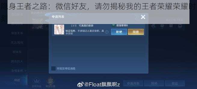 隐身王者之路：微信好友，请勿揭秘我的王者荣耀荣耀时刻