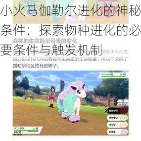 小火马伽勒尔进化的神秘条件：探索物种进化的必要条件与触发机制