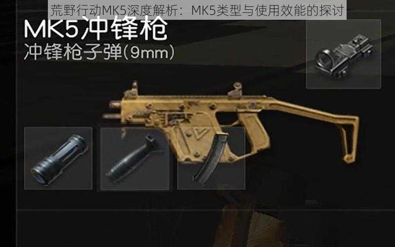 荒野行动MK5深度解析：MK5类型与使用效能的探讨