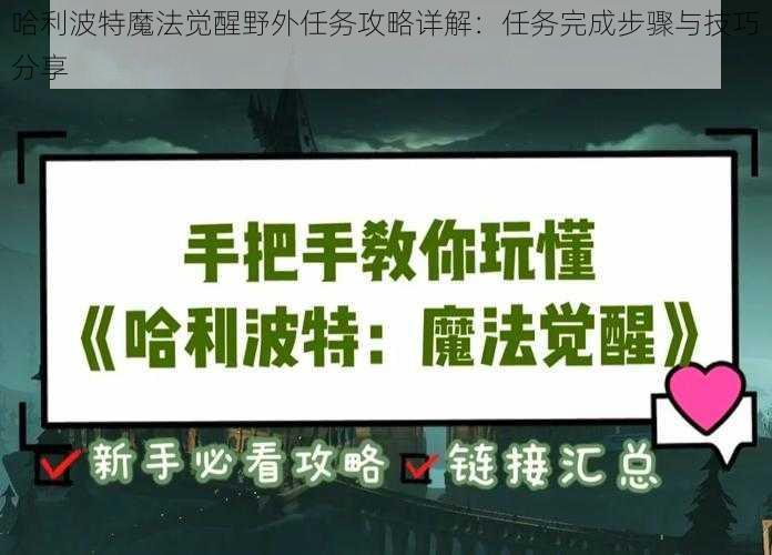 哈利波特魔法觉醒野外任务攻略详解：任务完成步骤与技巧分享