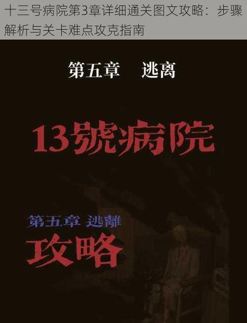 十三号病院第3章详细通关图文攻略：步骤解析与关卡难点攻克指南